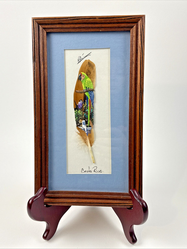 Costa Rica Hand Painted Feather Art PARROT Signed Matted & Framed 6.5×11