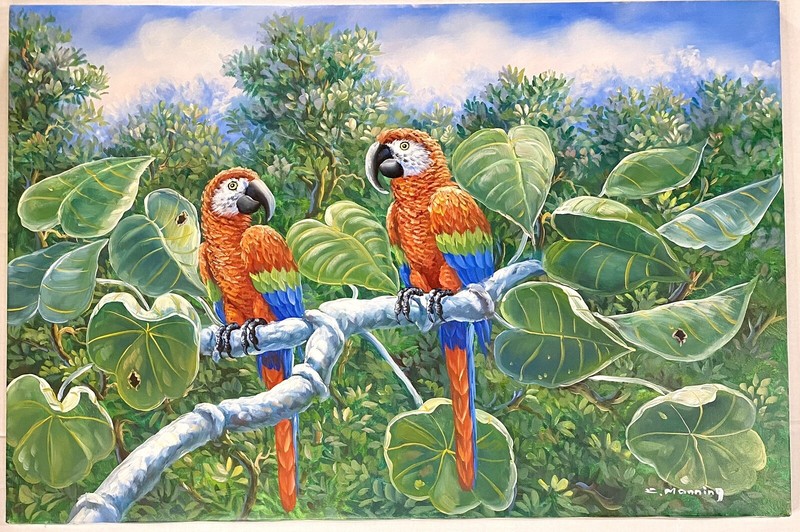 C Manning Oil Painting Macaws Unframed Canvas