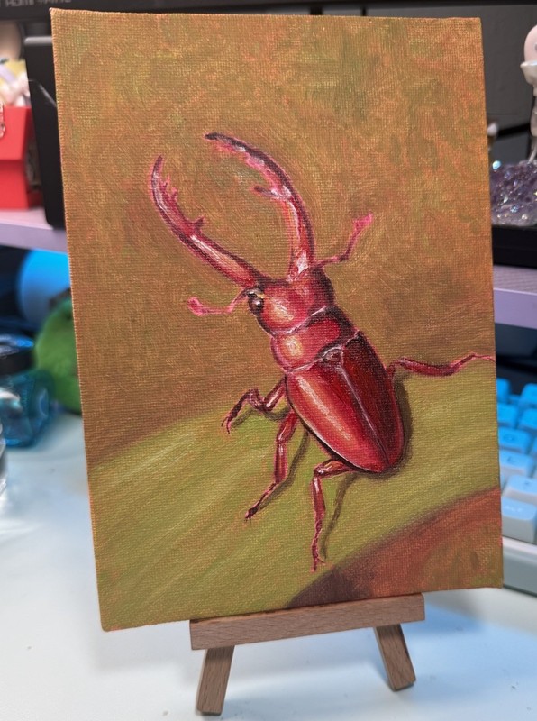 5×7 Stag Beetle Original Oil Painting On Canvas Panel Signed On Back By Aubrey O