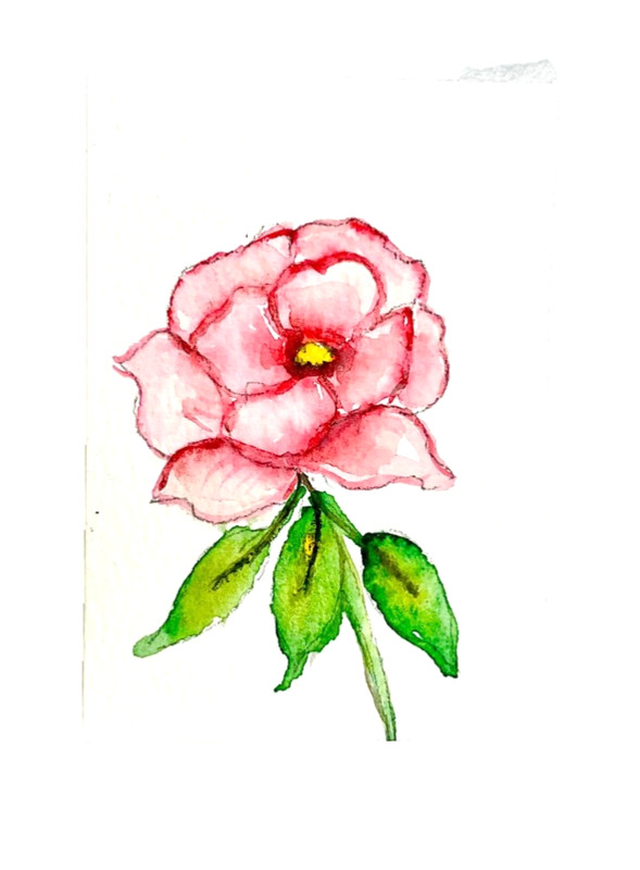 ACEO Original flower peony pink ATC OOAK Cherie Donnell