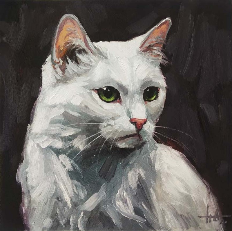 Original Oil Painting White Cat Portrait 8×8 inches Cat Painting