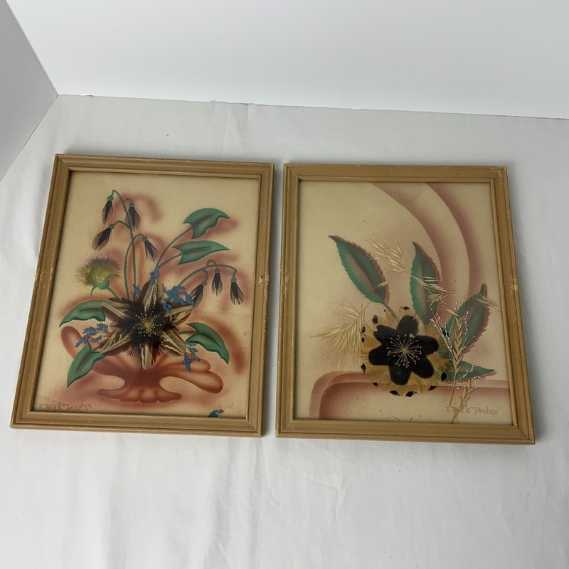 I, Bisek Prokop Handmade Feather Flower Craft Dakota Prairie VTG Framed Set of 2
