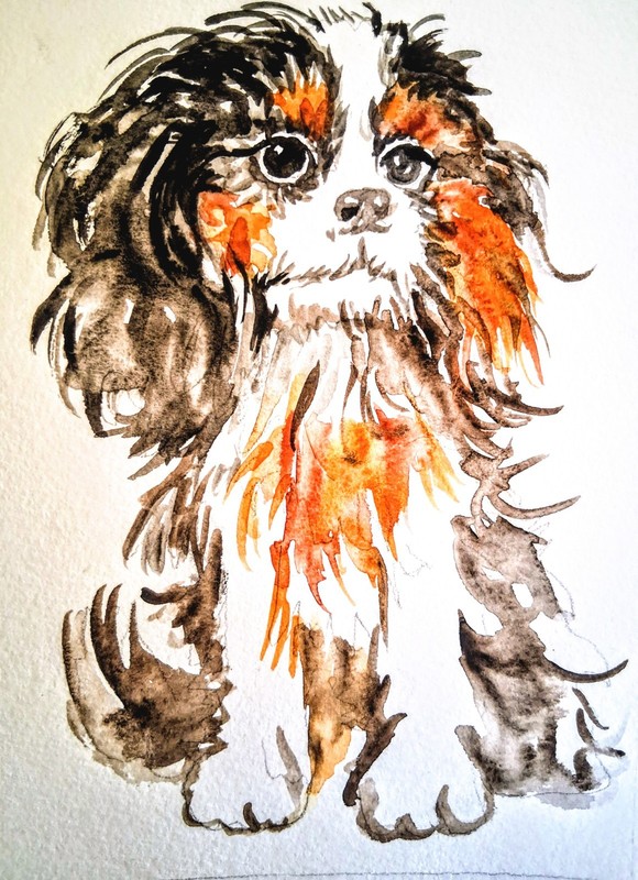 Dog art,Cavalier King Charles spaniel puppy,original painting,home decor 5x7" gallery