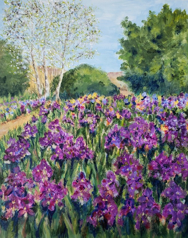 Kathryn Hilton Original Framed Landscape Painting – Purple Flowering Iris