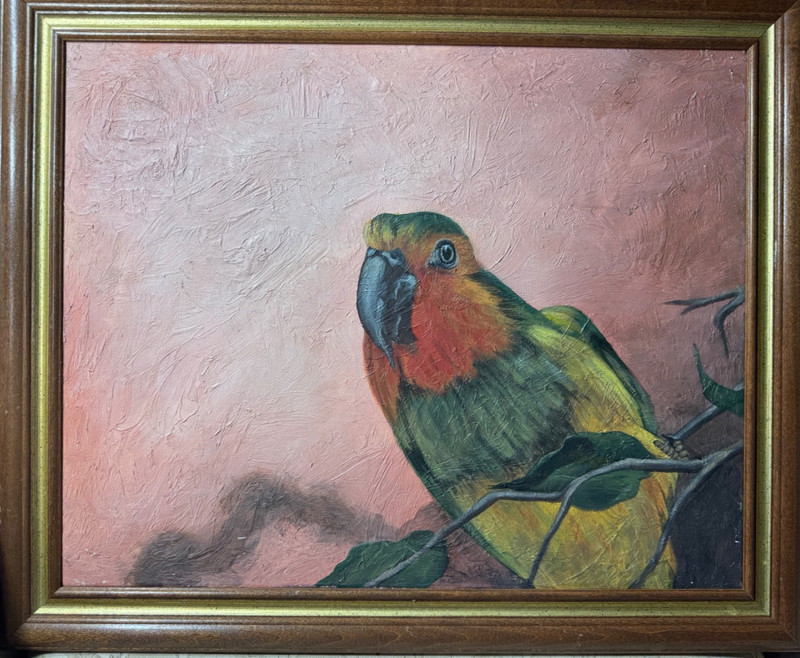 «Portrait Of A Parrot On Branch Scene» Oil On Canvas – Framed