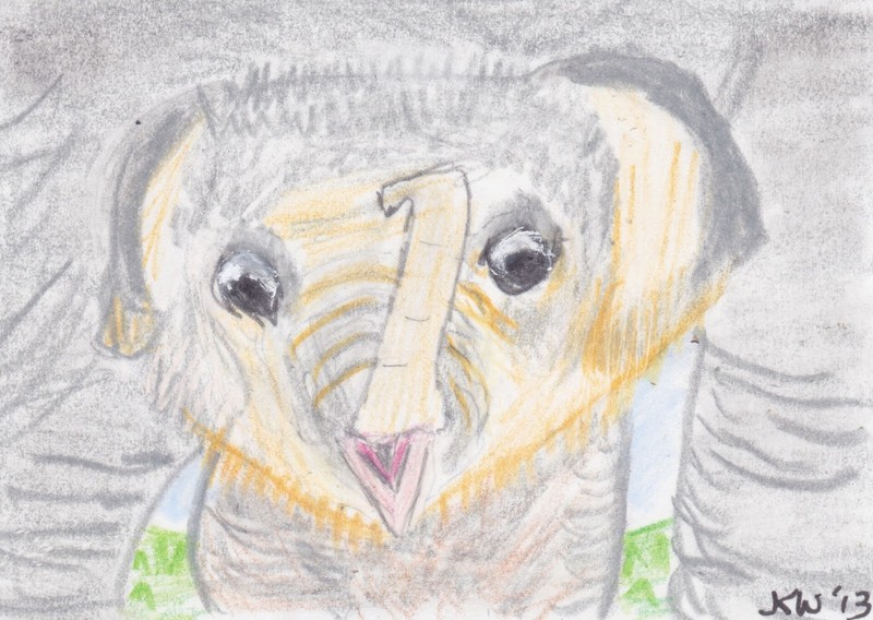 JKW Wildlife Baby ELEPHANT under Mom Elephant Folk Art ACEO Original Painting