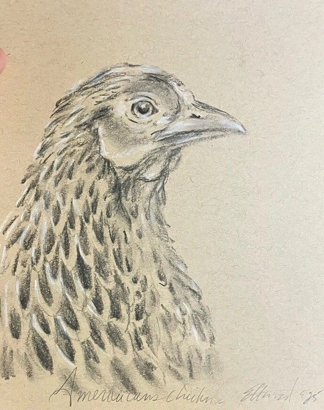 ORIGINAL Chicken Realism Pastel Painting Americana Charcoal Art farm bird EAE gallery