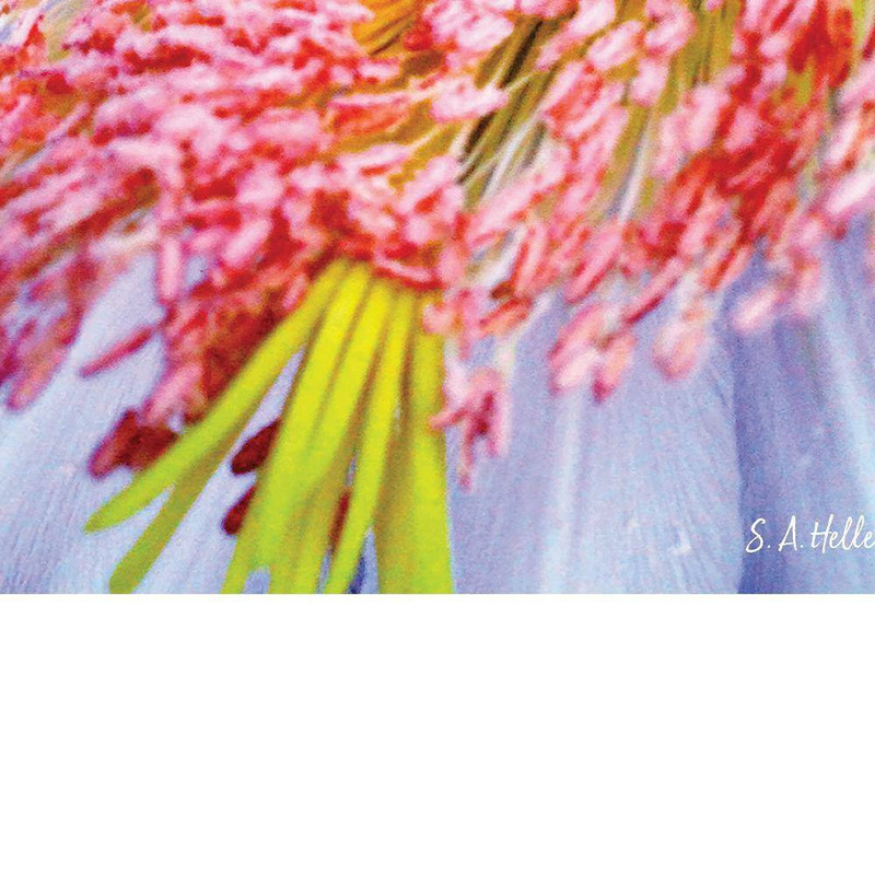 INTO the BLOOM by Steven A. Heller 1 Piece Unframed Canvas Drawing Print Abstrac
