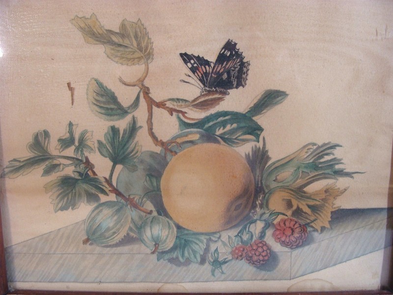 Antique 1840's Folk Art Theorem Basket of Fruit Butterfly W/C Painting gallery