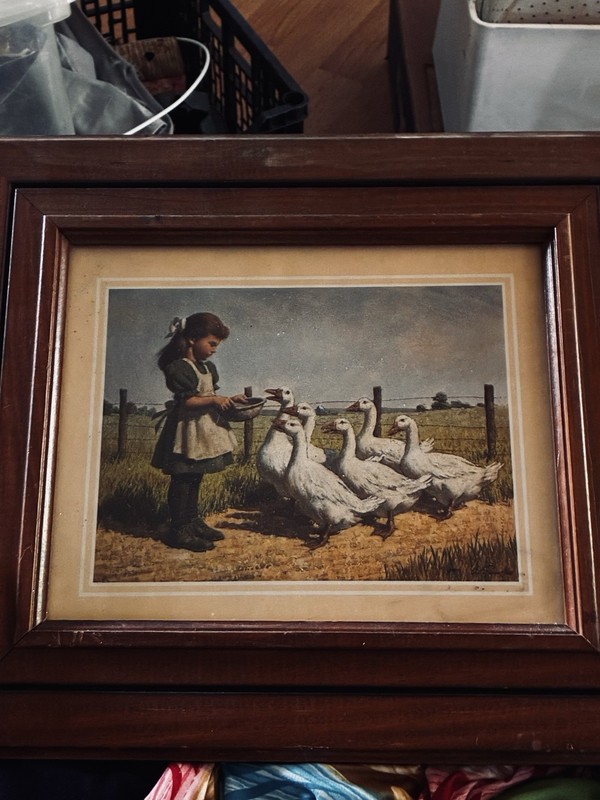 Girl Feeding Geese Picture Wall Art In A Beautiful Wooden Frame