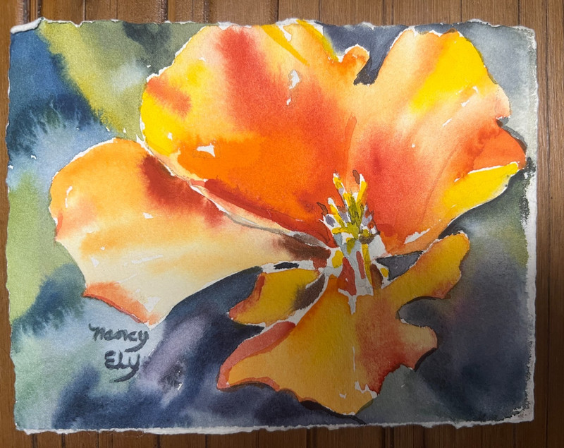 ORIGINAL NANCY ELY orange/pink HIBISCUS SIGNED WATERCOLOR LOVELY SIZE 5" x 6" gallery