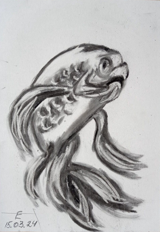 Original Drawing Gold fish Pencil Animals Drawing Graphics Art Illustration 8х6