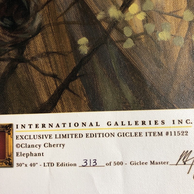 International Galleries Giclee Print Canvas Elephant Painting C. Cherry 29X39” gallery