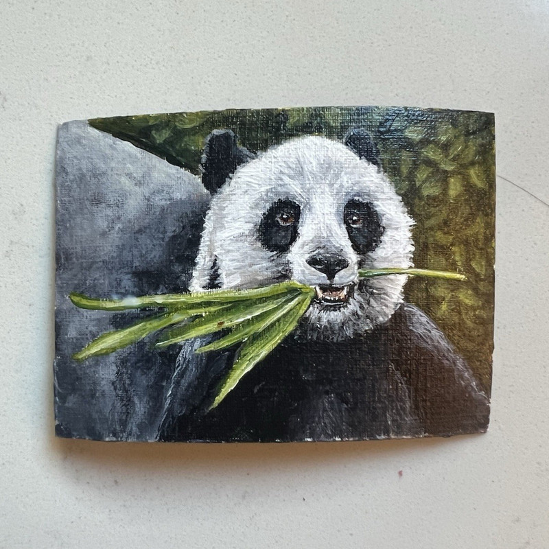 Hendrick Original Panda ACEO Acrylic Painting Panda Miniature OOAK Wildlife