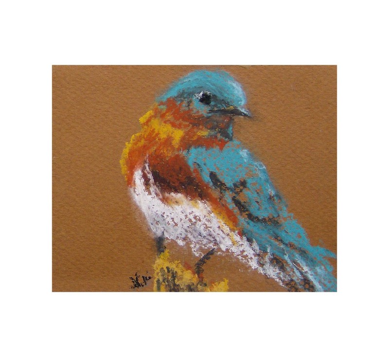Original Small Handmade Nature Pastel Wildlife Painting Bluebird