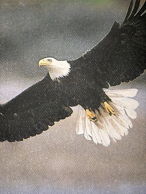 Eagle Oil Painting Shadow Western Art Original Signed by Artist Big Bear Lake gallery