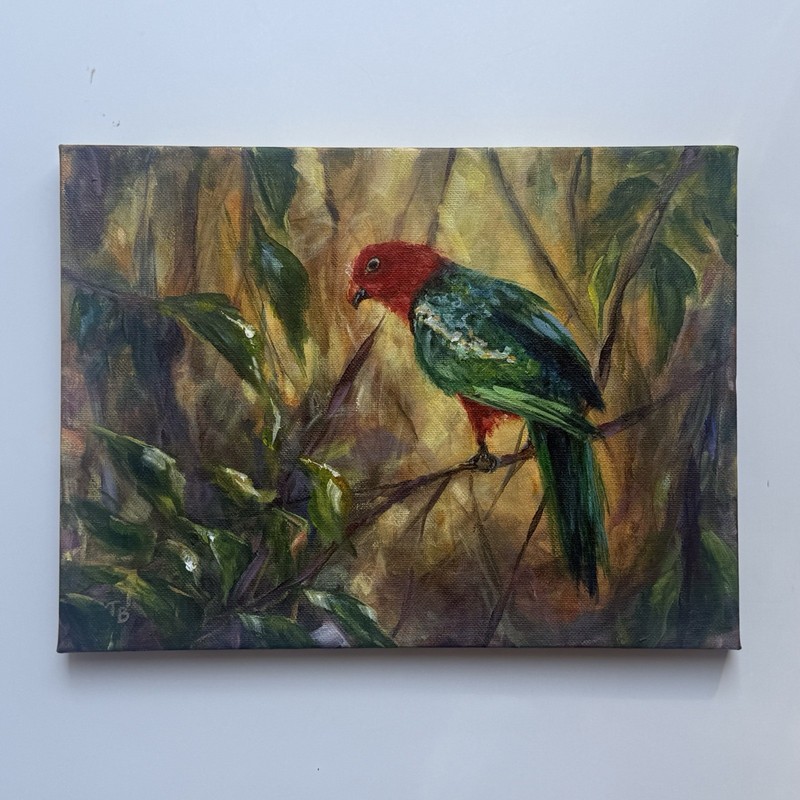 Australian King Parrot Original Art – Exotic Bird Nature Painting, 9×12 Inch Art