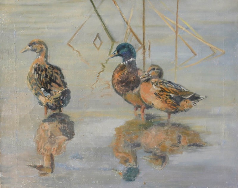 20th Century Oil – Mallard Ducks Wading