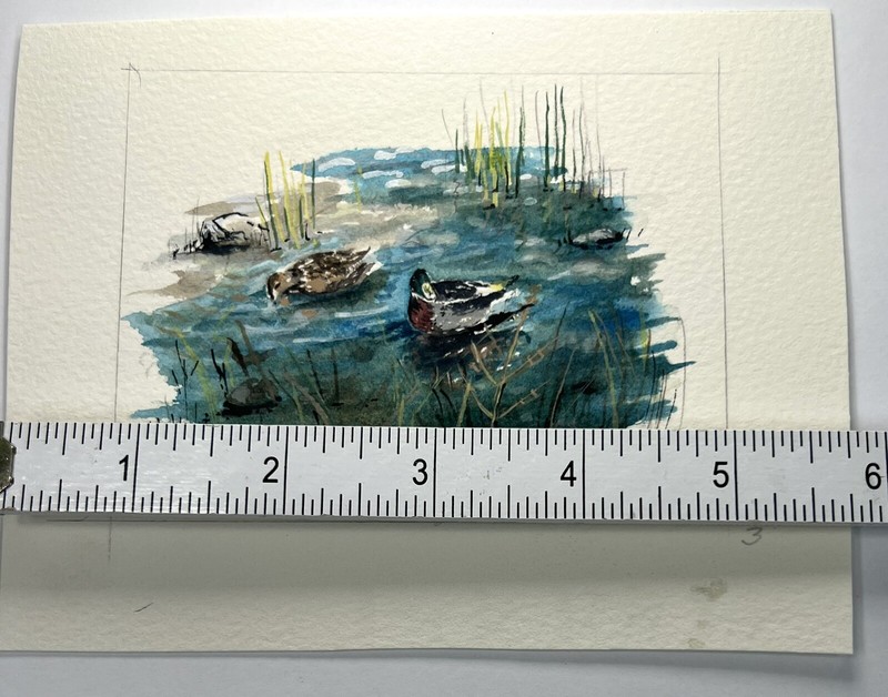 Watercolor Painting Ducks In Lake 5x6" Fine Art Feeding Time Jim Davel Mallard gallery