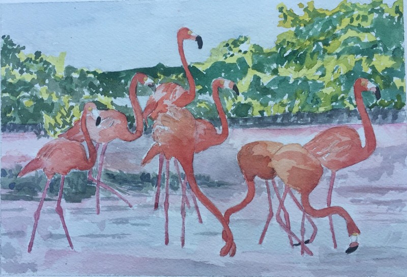 FLAMINGOS / ORIGINAL WATERCOLOR / 9" H X 12" W / MIMI DAVIS, ARTIST gallery