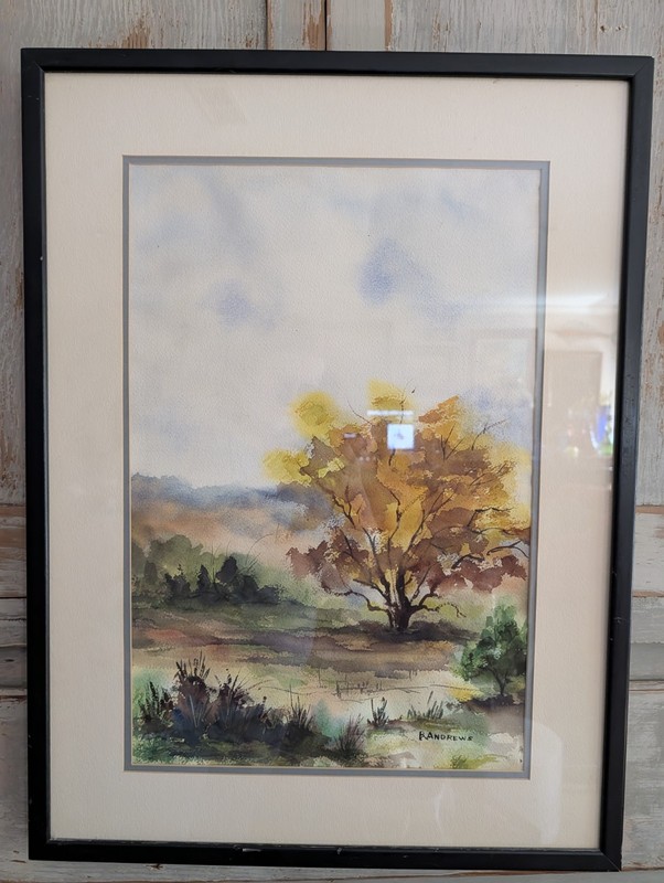 R RAE ANDREWS ? Original WaterColor Painting Framed Landscape Tree 21×27″