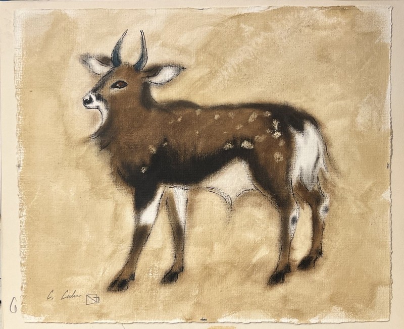 Original Charles Culver Signed Watercolor Pastel Painting Bushbuck Antelope