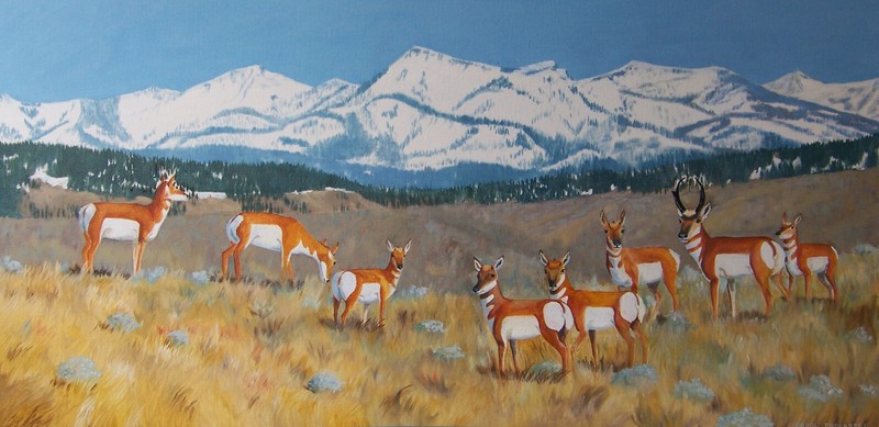Original oil painting western wildlife antelope spring eastern Oregon sagebrush