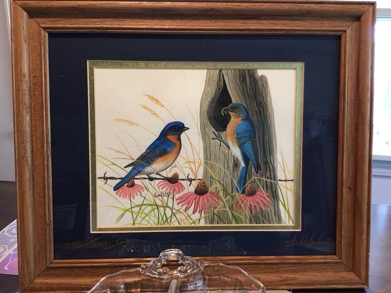 John S Eberhardt, Wildlife Artist, Signed Original Watercolor Bluebird Painting