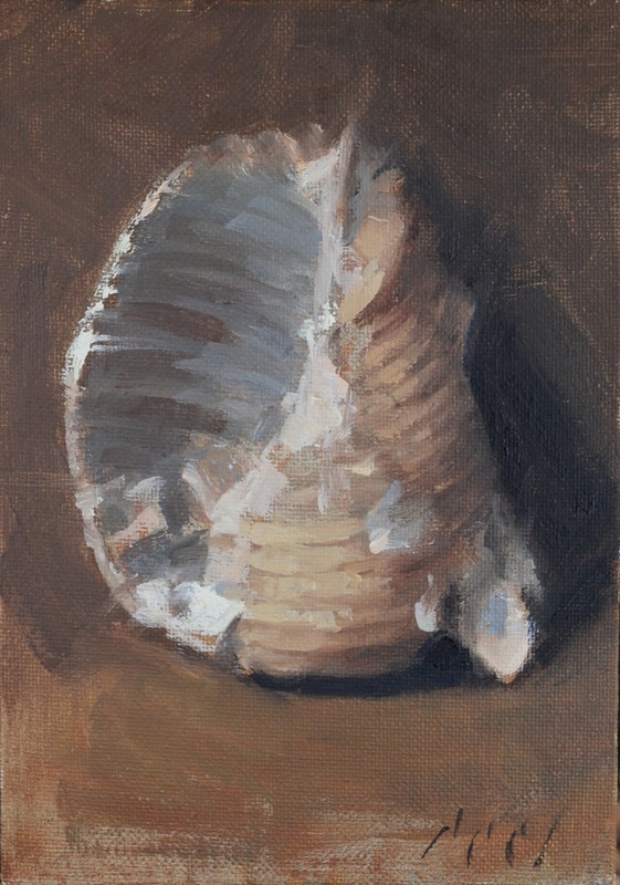 Original Still life Oil Painting a Day Seashell 5×7 Contemporary Realism Signed