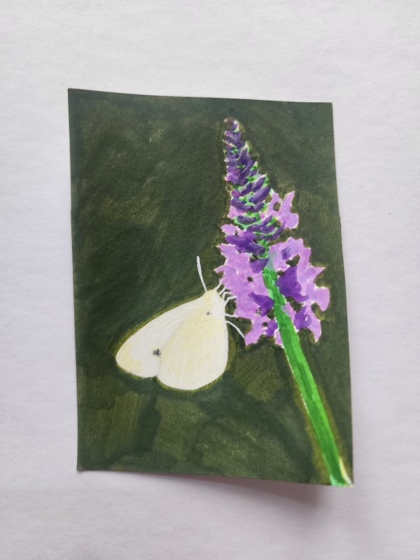 ACEO Original Acrylic Painting Cabbage White Butterfly by Kiva
