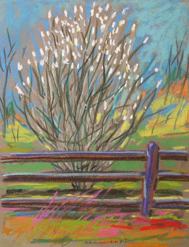 ORIGINAL White Tree Landscape Pastel Painting JMW art Impressionism J Williams