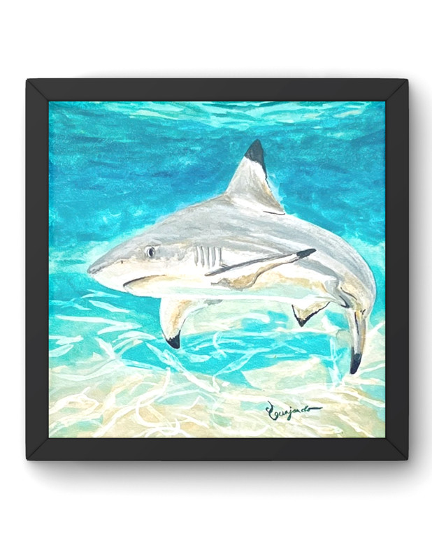 Guajardo Art: Black Tip Shark 6X6 Original Signed Wood Panel Expressionism