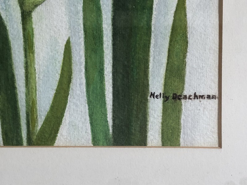 Artist NELLY DEACHMAN Original IRIS Watercolor Painting x2 ORANGE & YELLOW PAIR gallery