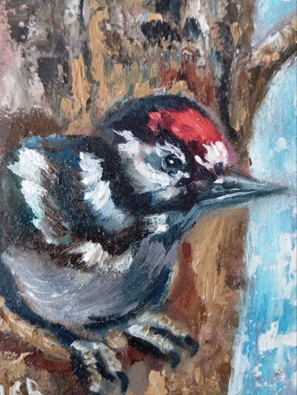 Woodpecker Original Oil Painting Bird 4×5 inches