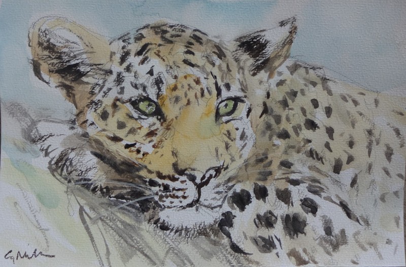 GERRY MILLER. Watercolour «Leopard». No frame. 24x16cm.