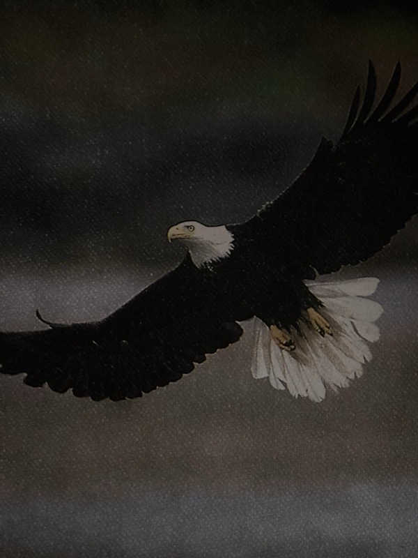 Eagle Painting Shadow Western Art Signed by Artist Big Bear Lake gallery