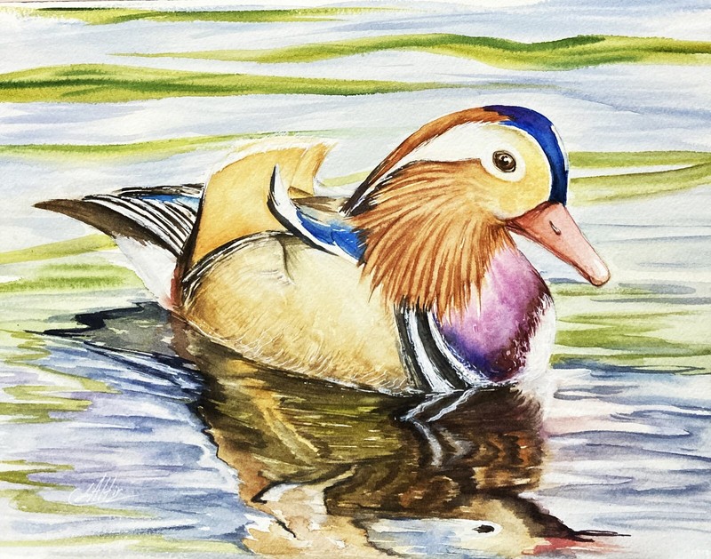Bird Mandarin Duck Lake Watercolor Original Painting