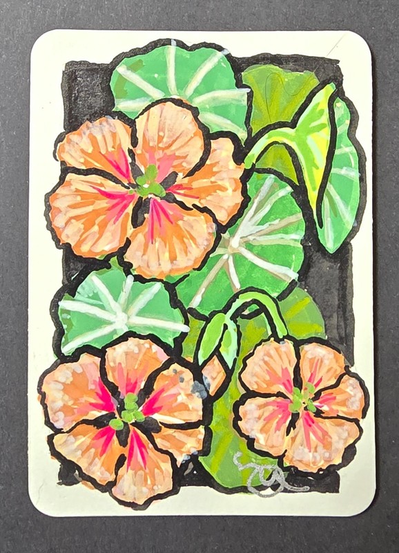 ACEO Acrylic Painting Salmon Pink Nasturtiums signed original approx. 2.5×3.5 in