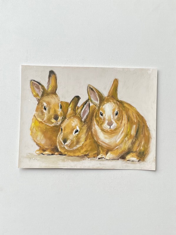 Rabbit Original Pastel Painting, Bunny Painting, 18 x 24 cm gallery