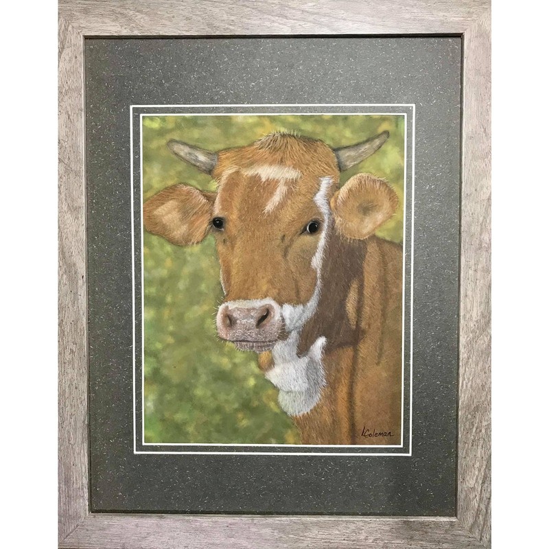 Herford Cow Medium Pastels Framed by Artist Lisa Coleman- 11×14