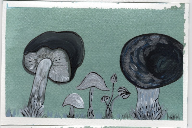 ACEO Limited Edition Art Print Nature Numbered Prints Watercolor Ink 1 of 12