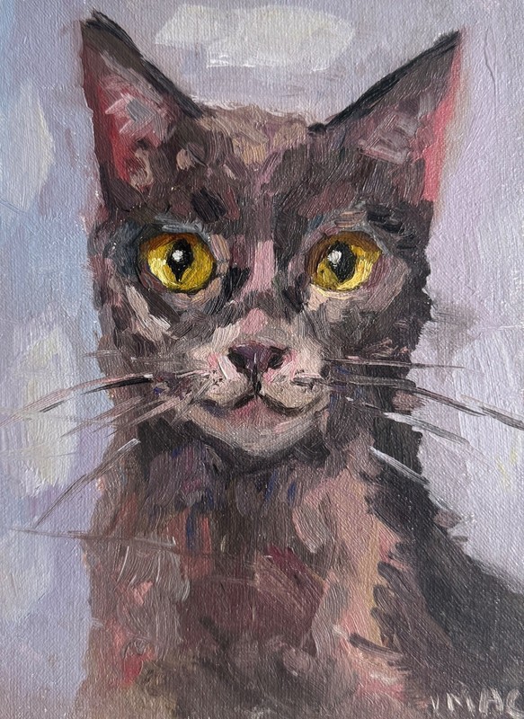 Original Oil Cat Siamese Pet Portrait Wall Impasto Art 6×8 Signed