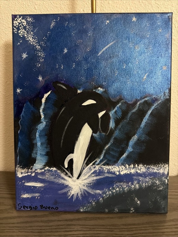 Orca Painting Original Abstract Expressionist 11×14 Canvas Killer Whale Wachtel