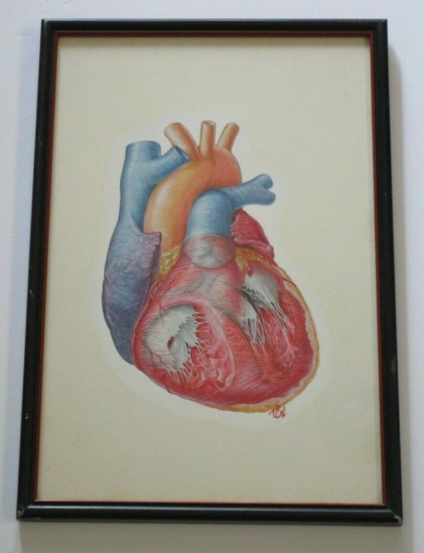 TED BLOODHART PAINTING POP ART HUMAN SCIENCE MEDICAL SURGICAL REALISM HEART OLD