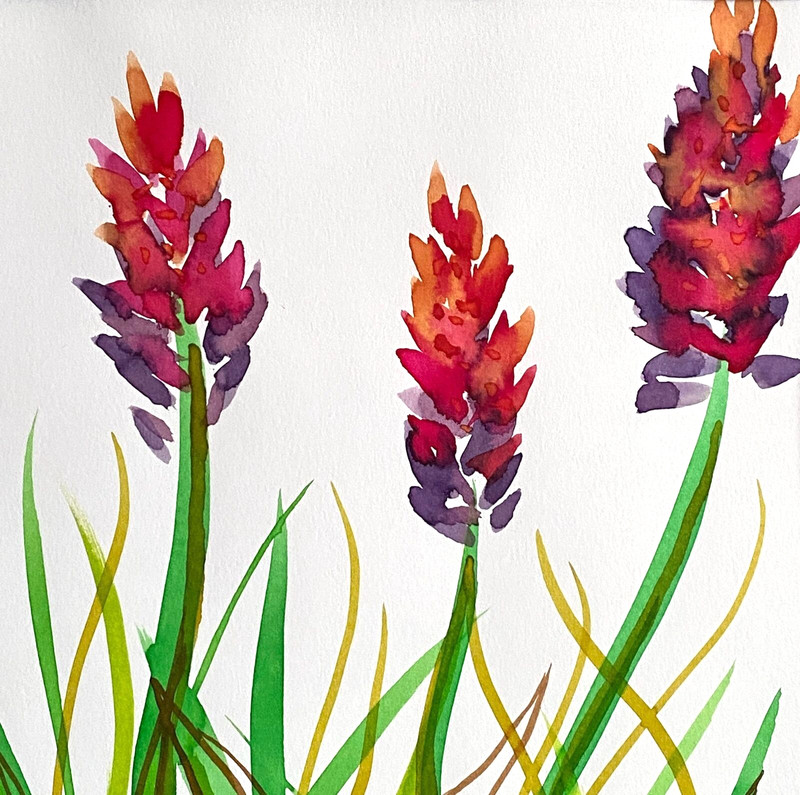 Summer Canna 2 -Original Wall Art Watercolor Painting Matted Frame Ready 11”x14”
