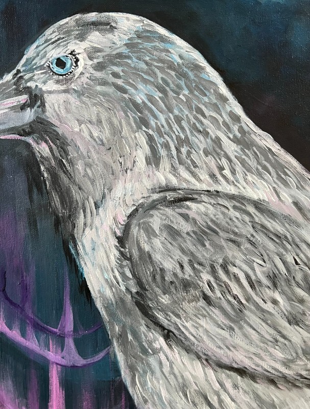 White Raven, Northern Lights Original by Alaskan Artist Judy Vars gallery