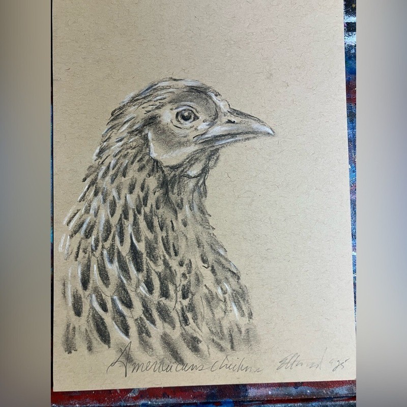 ORIGINAL Chicken Realism Pastel Painting Americana Charcoal Art farm bird EAE gallery