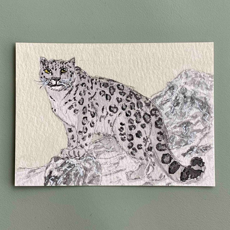 Original ACEO – Snow Leopard – Big Cat Watercolor Painting (Felidae Series)