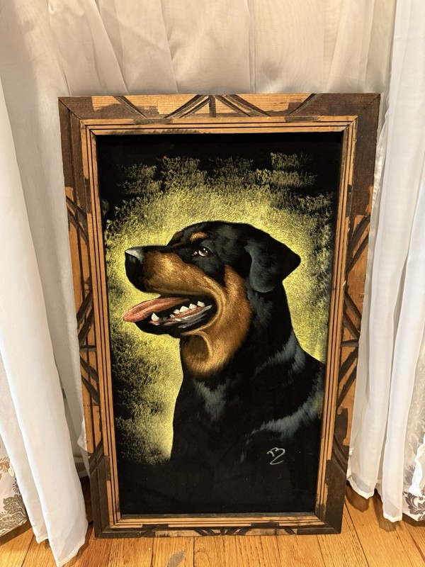 Vintage Black Velvet Painting Dog Rottweiler Framed 13 1/2″ X 22 1/2″ Signed