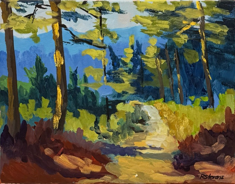 Original 11×14 Forest Mountain Trail Wall Art Acrylic Canvas R Stevens